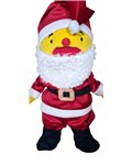 6 dlg kerstman pak V677