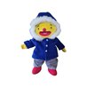 winterjas met capuchon, gevoerd