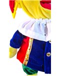 4 dlg piet pak v682