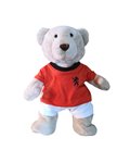 2 dlg voetbalpakje V791